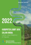 Kabupaten Lanny Jaya Dalam Angka 2022